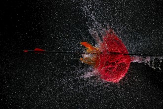 An arrow pierces a red water balloon and creates an impressive water explosion against a dark