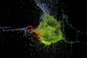 A green water balloon is pierced by an arrow and explodes in a dark, dynamic scene, high-speed