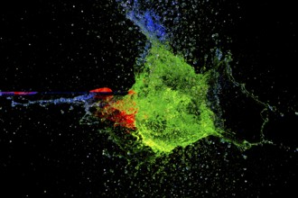 A vivid, explosive clash of green and red as an arrow pierces a water balloon, high-speed shot,