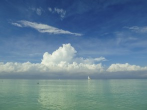 Sailing boat with pelican at the harbour of the hotel PARADISUS VARADERO RESORT SPA, Varadero,