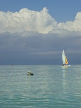 Sailing boat with pelican at the harbour of the hotel PARADISUS VARADERO RESORT SPA, Varadero,
