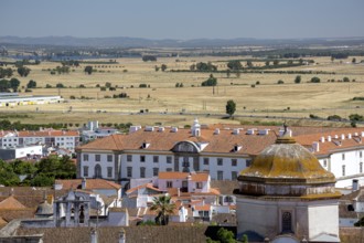Old University of Evora, Evora, ‰vora district, Portugal