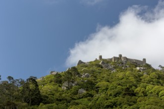 Castelo dos Mouros, Moorish Fortress, Sintra Cascais Natural Park, Grande Lisboa, Lisbon Region,