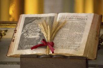 Illustrated Bible with grain jewellery, Latin Bible, Corporis Christi, Capela dos ossos parede,