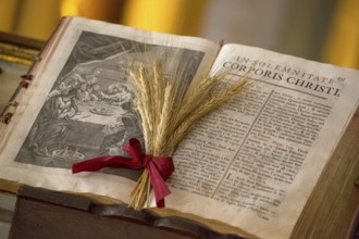 Illustrated Bible with grain jewellery, Latin Bible, Corporis Christi, Capela dos ossos parede,