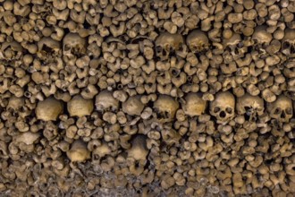 Piled bones in the ossuary, Capela dos ossos parede, chapel of bones, bone chapel, ossuary in