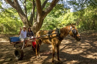 Tourists on a horse-drawn carriage ride in the Valle de los Ingenios, Trinidad, Cuba, Sancti