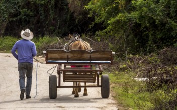 Cuban cowboy rider walking next to his one-horse cart, Valle de los Ingenios, Trinidad, Cuba,