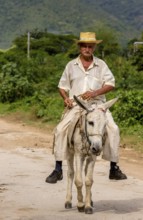 Old Cuban bear on a donkey mule with hat in Valle de los Ingenios, Trinidad, Cuba, Sancti Spíritus,
