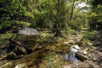 Wild stream in the Valle de los Ingenios, Trinidad, Cuba, Sancti Spíritus, Cuba, Villa Clara