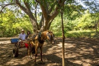 Tourists on a horse-drawn carriage ride in the Valle de los Ingenios, Trinidad, Cuba, Sancti