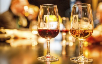 Wine tasting, white wine glass and red wine glass, wine cellar of the Sandemann winery in Gaia,
