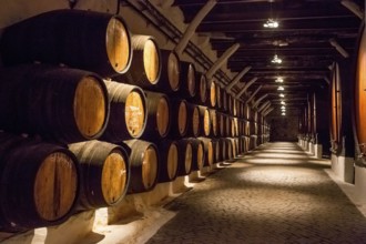 Port wine barrels, wine cellar of the Sandemann winery in Gaia, Porto, Vila Nova de Gaia, Porto