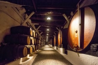 Port wine barrels, wine cellar of the Sandemann winery in Gaia, Porto, Vila Nova de Gaia, Porto