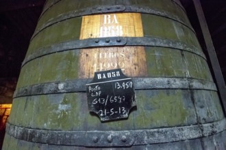 Port wine barrels, wine cellar of the Sandemann winery in Gaia, Porto, Vila Nova de Gaia, Porto