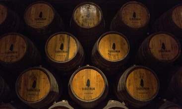 Port wine barrels, wine cellar of the Sandemann winery in Gaia, Porto, Vila Nova de Gaia, Porto