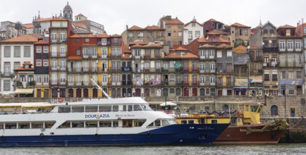 Colourful houses on the banks of the Douro in the Ribeira district, doors, Oporto, Porto district,