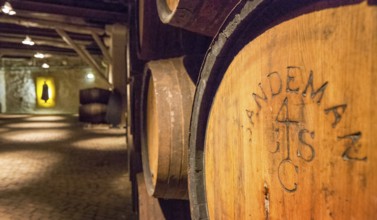 Port wine barrels, wine cellar of the Sandemann winery in Gaia, Porto, Vila Nova de Gaia, Porto