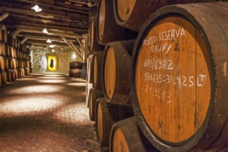 Vintage labelling, port wine barrels, wine cellar of the Sandemann winery in Gaia, Porto, Vila Nova