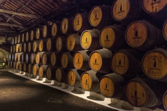 Port wine barrels, wine cellar of the Sandemann winery in Gaia, Porto, Vila Nova de Gaia, Porto