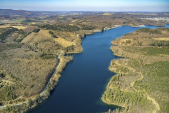 Aerial view, Sorpesee, forest area with forest damage, Amecke, Sundern, Sauerland, North