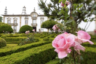 Spacious gardens of the palace, pink rose blossom, Casa de Mateus, palace with large gardens, Vila