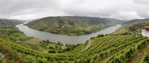 Central Douro wine region, river, Douro valley, vineyards, panorama, Santa Cristina, Vila Real