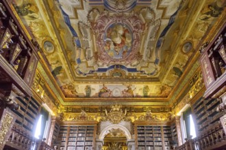 Biblioteca Joanina, historical university library, University of Coimbra, Coimbra, Coimbra