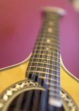 Coimbra guitar, strings, Coimbra, Coimbra district, Portugal, Europe, aerial view, birds-eyes view,