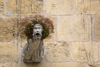 Gargoyle, Rain spout on the church facade Old Cathedral (Sé Velha), Old Town of Coimbra, Coimbra,