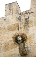 Gargoyle, Rain spout on the church facade Old Cathedral (Sé Velha), Old Town of Coimbra, Coimbra,