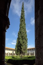 Monastery of Santa Maria da VitÃüria, UNESCO World Heritage Site, cloister with pine trees,