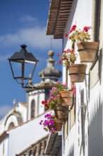 Picturesque facades with primroses and flower pots, picturesque small town Obidos, Ãbidos, district