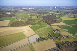 Aerial view, meadows and fields with distant view, view to the district Langern, Werne,