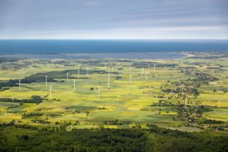 Wind farm, wind power plants, fields, forests, Szczeglino, Steglin, Baltic Sea coast, Województwo