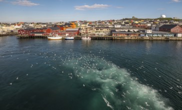 Fishing boats in the harbour with seagulls, Street Art Eternal Light Eternal Night, Observatory