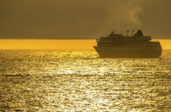 Ship MS Finnmarken, in the morning light, backlight, Berlevåg, Finnmark, Norway, Scandinavia,