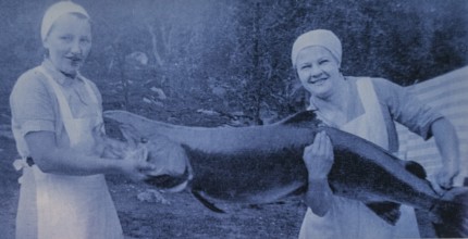 Photo of largest Atlantic salmon catch, Kirkenes, Finnmark, Norway, Scandinavia, Europe, adventure
