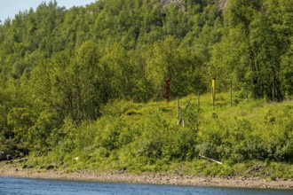 Border Norway-Russia, border posts, yellow border post Norway, red-green border post Russia,