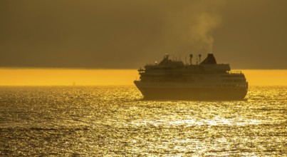 Ship MS Finnmarken, in the morning light, backlight, Berlevåg, Finnmark, Norway, Scandinavia,