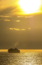 Ship MS Finnmarken, in the morning light, backlight, Berlevåg, Finnmark, Norway, Scandinavia,