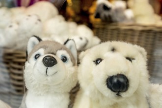 Polar bears stuffed animals, Tromsø, Troms, Norway, Scandinavia, Europe, adventure travel, tourism,