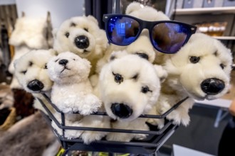 Polar bears stuffed animals, Tromsø, Troms, Norway, Scandinavia, Europe, adventure travel, tourism,