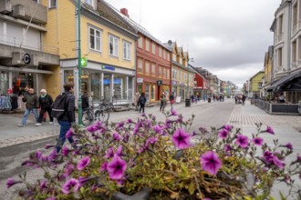 Flowerbed Storgata shopping street, Tromsø, Troms, Norway, Scandinavia, Europe, adventure travel,