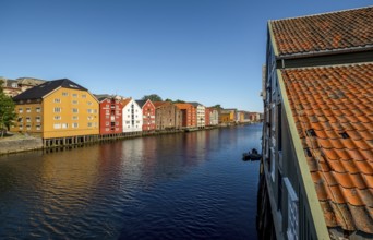 Warehouse city, picturesque colourful houses and commercial buildings on the river Nidelva, pile