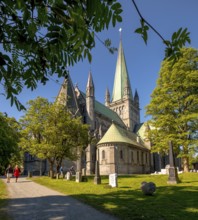 Nidaros Cathedral, Cathedral, Trondheim, Trøndelag, Norway, Scandinavia, Europe, adventure trip,