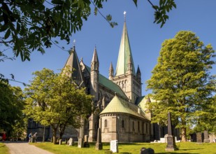 Nidaros Cathedral, Cathedral, Trondheim, Trøndelag, Norway, Scandinavia, Europe, adventure trip,