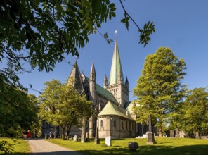 Nidaros Cathedral, Cathedral, Trondheim, Trøndelag, Norway, Scandinavia, Europe, adventure trip,