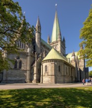 Nidaros Cathedral, Cathedral, Trondheim, Trøndelag, Norway, Scandinavia, Europe, adventure trip,