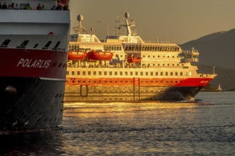 Ship MS Polarlys, ship MS Richard With, harbour Molde, Møre og Romsdal, Norway, Scandinavia,
